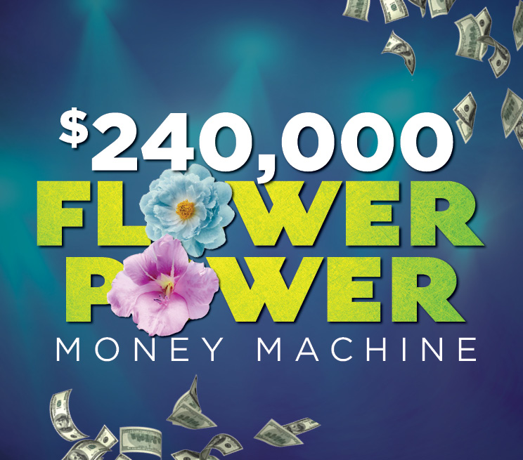 $240,000 Flower Power Money Machine Promotion Image