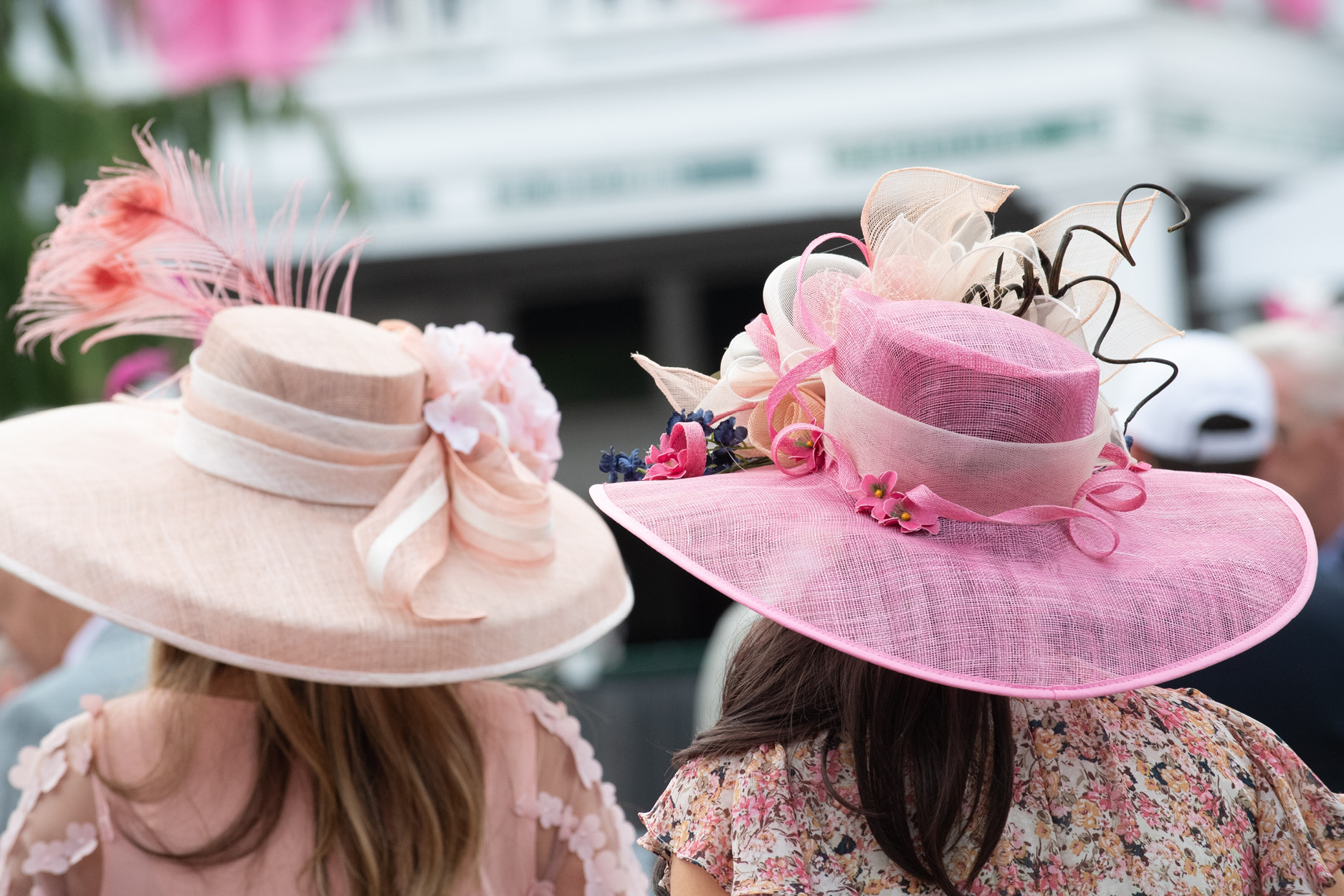 pink Kentucky derby hats at racetrack