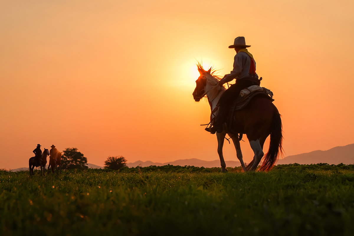 Cowboy on horse in sunset