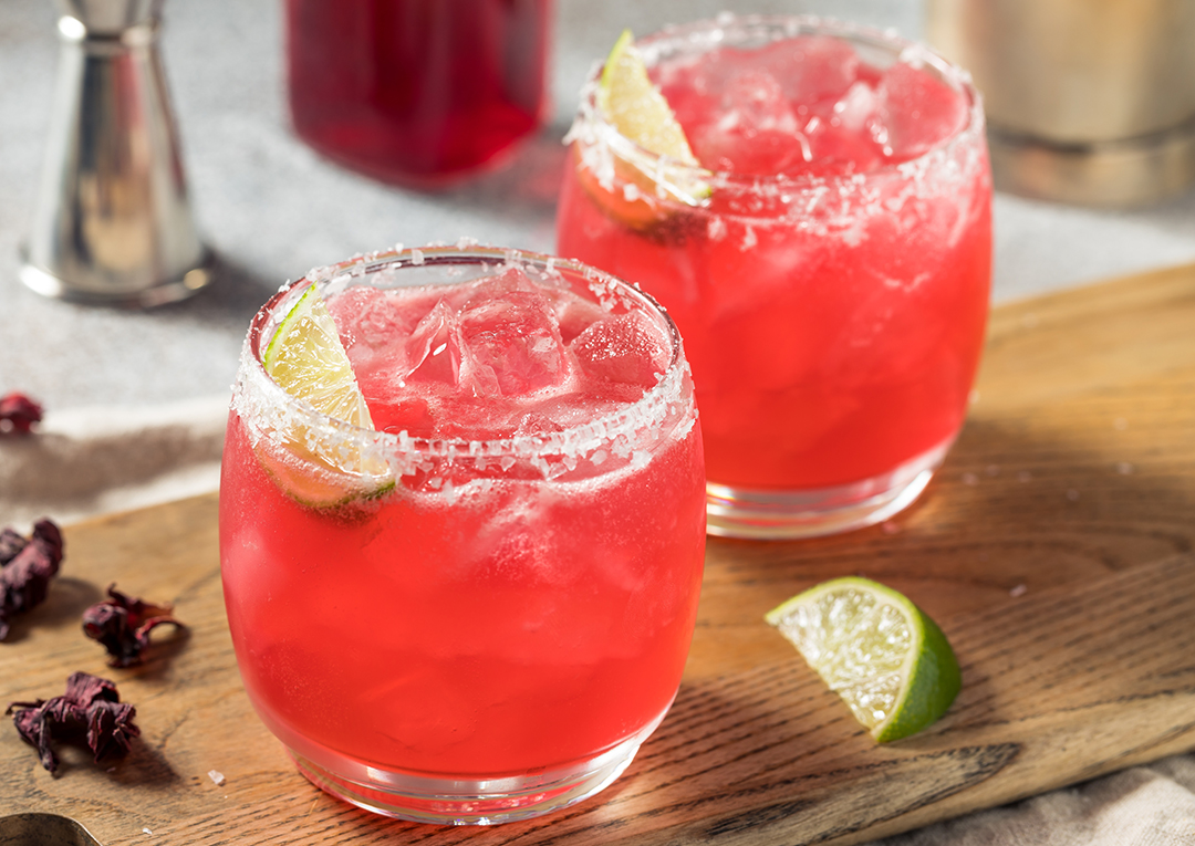 Hibiscus Margarita